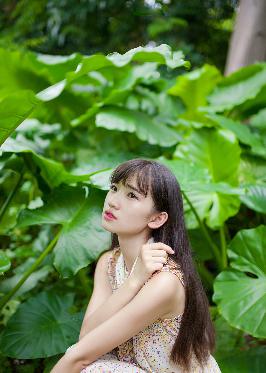 动漫免费观看在线播放高清版