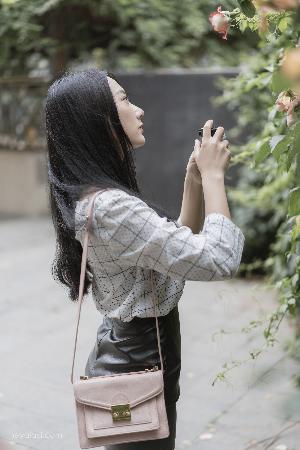 白月梵星电视剧在线观看全集免费播放